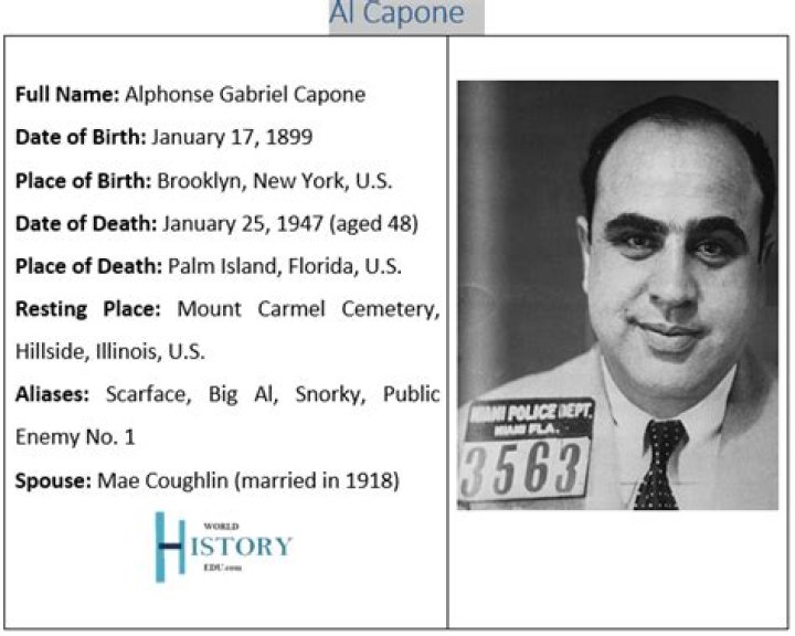 Cause Of Death, Facts About Al Capone's Mother
