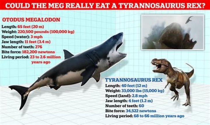 NASA's Quest For A Megalodon