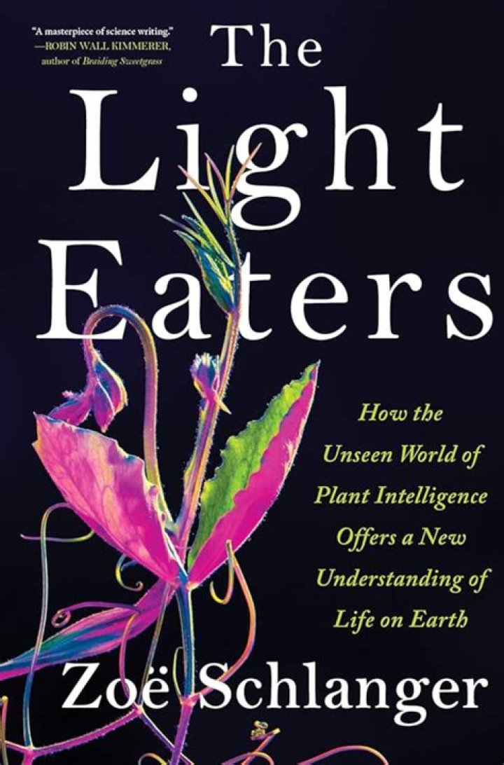 Unlock The Unseen World Of Laura Harris's Husband: Discoveries And Insights
