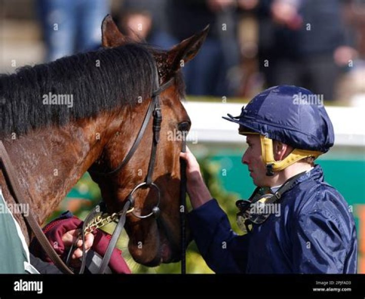 Unveil The Extraordinary Life Of Champion Jockey Ryan Moore