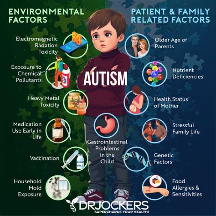 What causes autism in the womb?